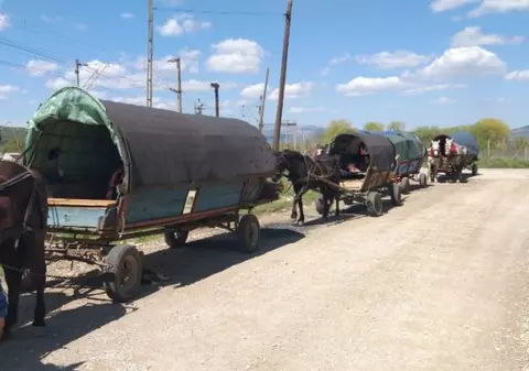 Un convoi de cinci căruțe a fost oprit de poliție în Alba după ce a străbătut 100 km. Ce au descoperit oamenii legii