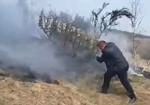 Imaginea zilei vine din Maramureș: un primar încearcă să stingă cu creanga de brad un incendiu de vegetație și pădure