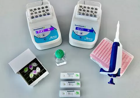 Teste rapide pentru COVID-19, oferite gratuit în Mureș de un serviciu privat de ambulanță