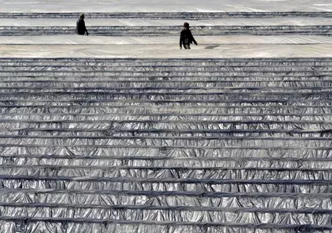 Românii care munceau la o fermă de sparanghel din Germania au început să se certe între ei. Au trecut la ameninţări