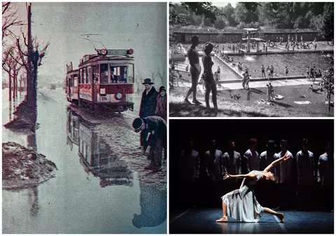 Cultură în online. Hamletul de la Timișoara, frate cu ciobănașul mioritic