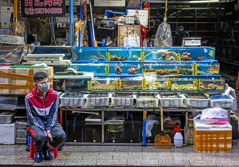 Organizația Mondială a Sănătății se întreabă ce rol a jucat piața în aer liber din Wuhan în răspândirea Covid-19