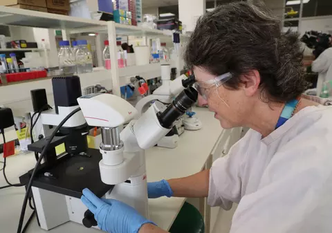 În goana după un tratament pentru COVID, experții cred că putem repeta greșelile făcute cu Ebola. Ce spun cei care au luptat cu febra hemoragică