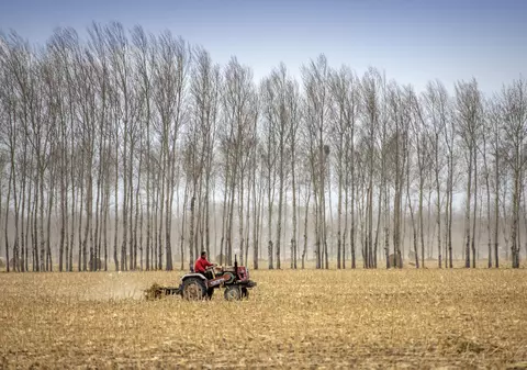 Un fermier a fost amendat cu 5.000 de lei pentru că nu și-a putut justifica prezenţa în Timişoara. Ce acuză bărbatul și ce spune IPJ Timiș