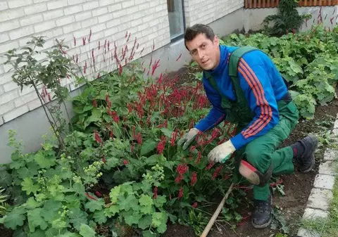 Mihai, grădinarul român care face voluntariat în Danemarca. După job, lucrează la cantinele sociale, iar apoi strânge mâncare pentru sărmani