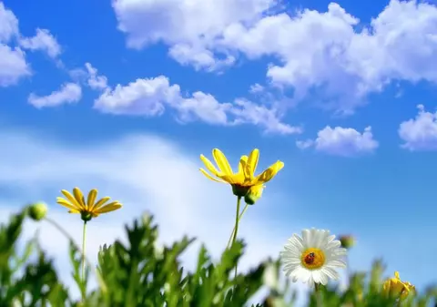 Prognoza meteo 13 aprilie 2020. Vreme caldă în aproape toată țara. Maximele se vor încadra între 17 şi 25 de grade