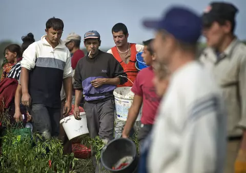 Doi români lansează o întrebare în The Guardian: Sunt mai importante recoltele din Germania sau Marea Britanie decât sănătatea românilor?