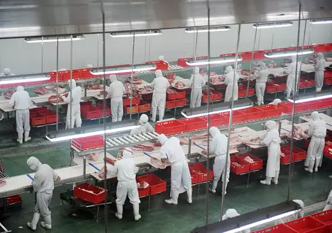 Consul român, despre cum sute de muncitori din România sunt infectați în abatoarele din Germania, dar informația nu e publică: ”De obicei, companiile camuflează lucrurile astea”