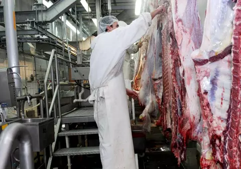 MAE a intervenit în cazul celor peste 40 de români infectați cu COVID-19 într-un abator din Germania. Ce se întâmplă cu muncitorii