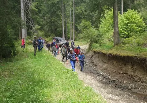 O bătrână din Borsec a fost găsită într-o pădure, la două zile după ce a fost dată dispărută: ”Este un miracol că a supraviețuit”