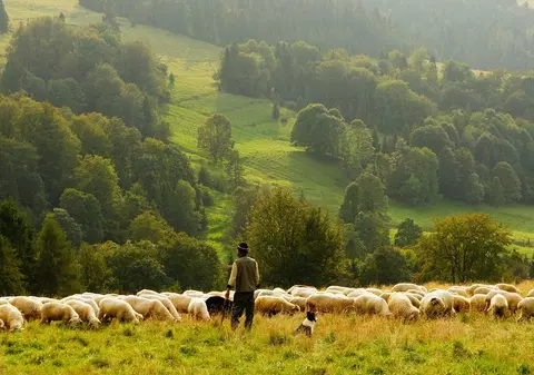 Fiul unui cioban din judeţul Mureş susține că tatăl său i-a făcut cadou 4,5 milioane de euro