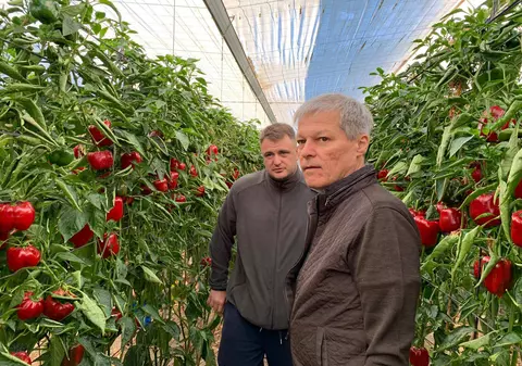 Într-o scrisoare pentru Libertatea pe tema muncii ieftine a Diasporei, Dacian Cioloş atacă PSD și PNL: ”De ce am ajuns aici? Întrebați-i pe cei din Kiseleff sau din Modrogan”