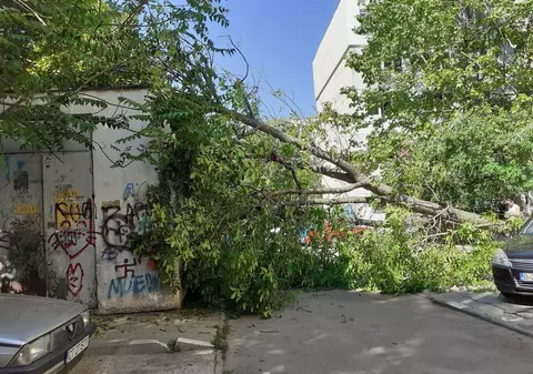O femeie a fost rănită de un copac rupt de vântul puternic, în sectorul 4