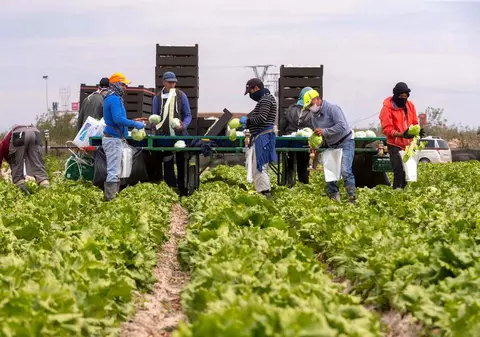 MAE: 150 de români, confirmați cu coronavirus la o fermă din Germania. Care este starea lor de sănătate