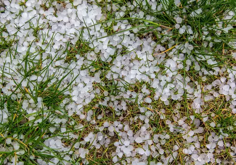 VIDEO| Furtuna a făcut prăpăd în mai multe județe din țară. Grindina a pus la pământ culturile oamenilor