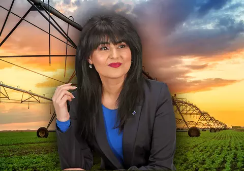 Jurista de la irigații. Șefa organizației de femei PMP Galați conduce Agenția de Îmbunătățiri Funciare din județ, deși n-are studii în domeniu, nici experiență