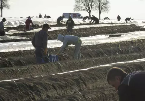 Zeci de suceveni au ieșit din zona carantinată pe drumuri agricole pentru a pleca la muncă în străinătate, în stare de urgență