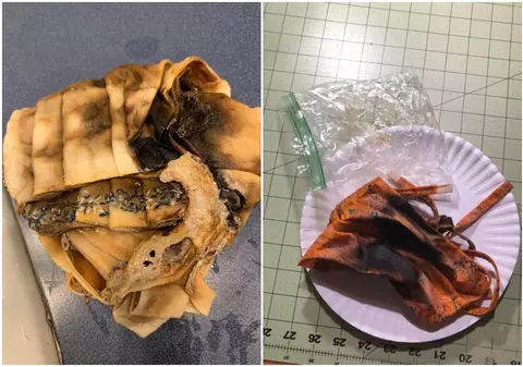 Pot fi sterilizate măștile în cuptoarele cu microunde? Autoritățile insistă: Nu faceți asta! Masca se deteriorează și riscați un incendiu