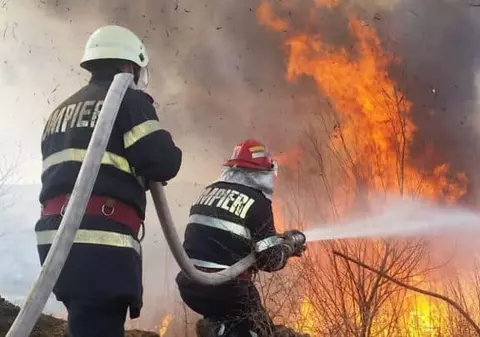 O țigară aruncată la întâmplare a incendiat șase hectare de vegetaţie uscată în Galați