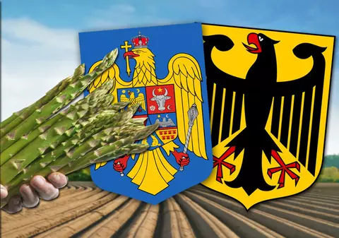 EXCLUSIV. Operațiunea sparanghelul a început mai devreme. Firma Fritz Wassmer susține că românul mort de COVID în Germania “a cerut să nu fie dus la spital”