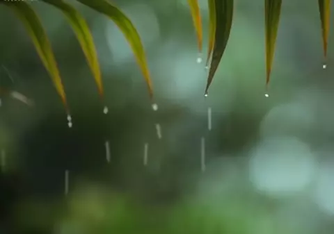 Prognoza meteo, 7 iunie 2020. Vreme caldă, cu instabilitate atmosferică