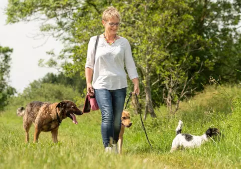 Experții americani avertizează: animalele de companie nu ne transmit noul coronavirus, dar îl pot lua de la noi