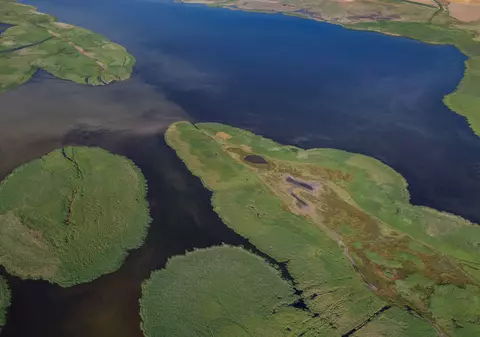 Schimbările climatice, confirmate de înmulțirea unor specii noi de păsări, în zona Dobrogei