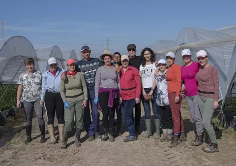 Istoria din câmpurile de căpșuni este istoria noastră, a românilor