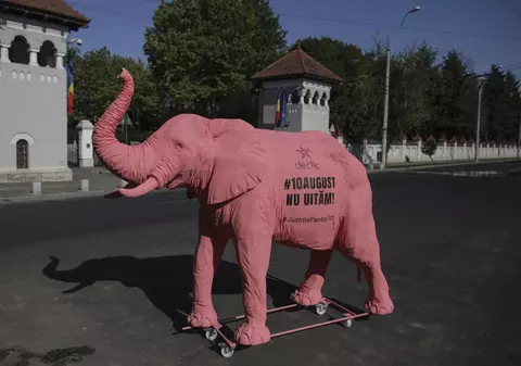 Membrii comunităţii Declic duc un elefant roz la toate instituţiile implicate în ancheta 10 august