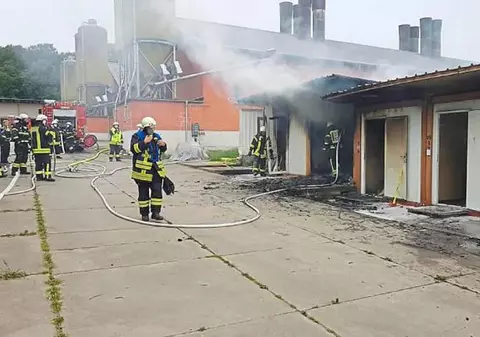 Muncitori români în Germania, cazați în containere pentru găini. Situația, descoperită în urma unui incendiu