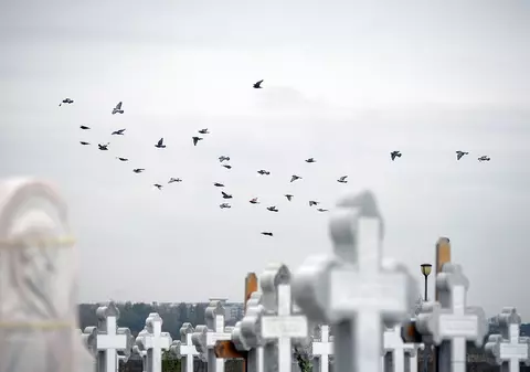 Percheziţii la persoane bănuite de profanare de morminte şi furt, în Giurgiu și București