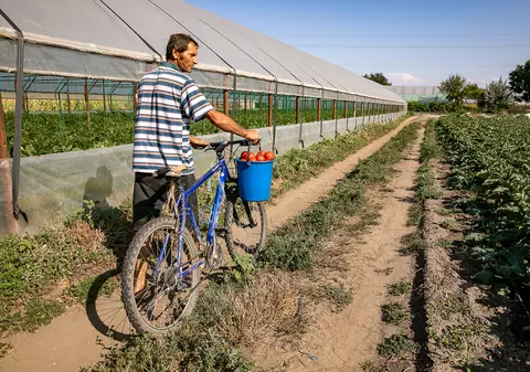 Satul din Giurgiu de unde românii nu pleacă la muncă afară! Cum a ratat ministrul muncii german întâlnirea sa de la Câmpurelu