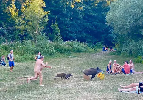 Mistrețul alergat de un nudist pentru că i-a furat laptopul este amenințat cu eutanasierea. Decizia autorităților, întâmpinată cu proteste