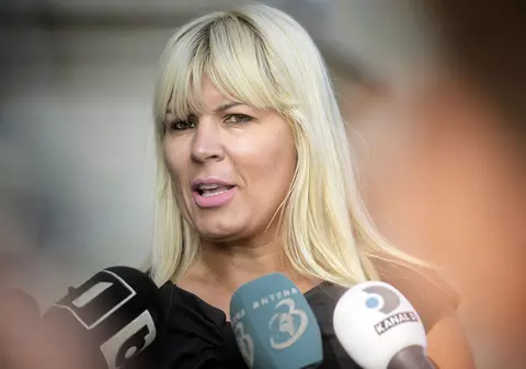 Elena Udrea, infectată cu COVID, cu o zi înaintea termenului din dosarul legat de finanțarea campaniei electorale din 2009