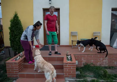 Analizele câinilor otrăviți lângă Brașov demonstrează că au fost uciși cu premeditare: furadan în corp și în momeală. Ce riscă vinovații