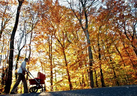 Prognoza meteo pentru intervalul 21 septembrie - 19 octombrie. Temperaturi peste media perioadei și ploi izolate