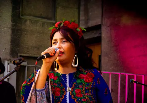 Rona Hartner vine în sprijinul tinerilor afectați de pandemia de coronavirus. „Mi-au fost trimiși de către guvernul Franței”