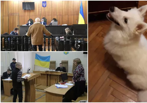 Ani grei de închisoare pentru un tânăr care a ucis câinele unui bătrân