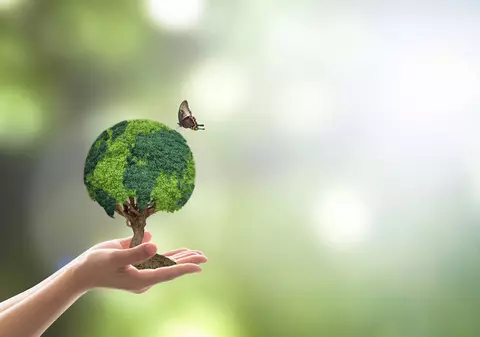 Fotosinteza - ce este și cum funcționează procesul care furnizează o mare parte din energia esențială pentru viața pe Pământ