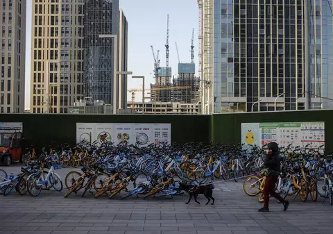 Decizie radicală luată în China. Câinii  vor fi confiscați și uciși, dacă stăpânii îi scot la plimbare