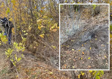 Tânără ucisă, cadavrul carbonizat pe câmp, în Giurgiu: "Ca pe vremea când găseam chinezi în geamantane"