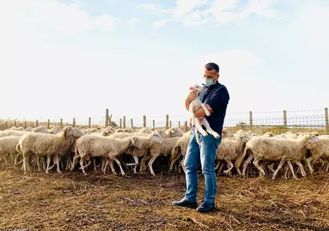 Un primar din Italia s-a dus pe câmp cu oile, ca să-i țină loc ciobanului bolnav de COVID-19