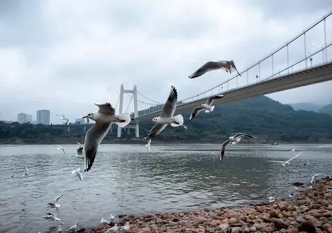 VIDEO | “Eroul Chinei”. Un diplomat britanic de 61 de ani a salvat o tânără de la înec