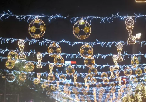 Un bărbat din Târgoviște, reținut, după ce a furat luminiţele de Crăciun care urmau să fie montate într-un parc