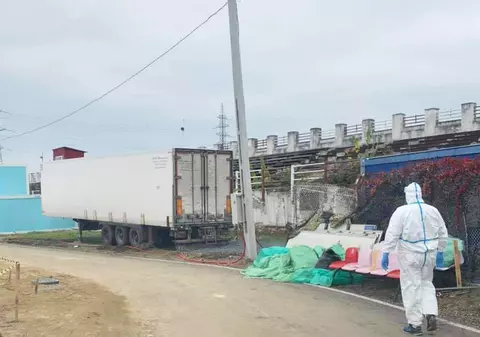 La Timișoara, rudele victimelor COVID își identifică apropiații pe stadion