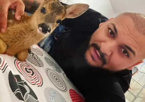 Manelistul Dani Mocanu a postat o fotografie cu un pui de căprioară și sfidează poliția: „Moș Nicolae, arestează-mă tu!”