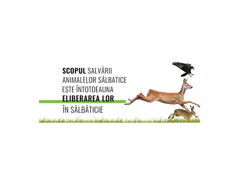 (Publicitate) eDezvoltator.ro sprijină singurul centru de salvare a animalelor sălbatice din sudul României