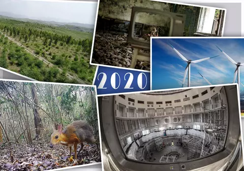 2020 nu a adus numai vești rele. Știrile care au adus bucurie în anul care tocmai s-a încheiat