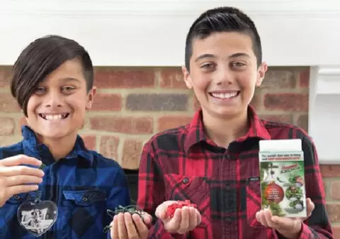 Doi băieți de 12 ani au câștigat 250.000 de dolari în pandemie. Metoda inedită prin care au reușit acest lucru