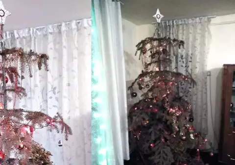 Motivul pentru care doi frați din Alba păstrează de 14 ani în sufragerie un brad împodobit de Crăciun